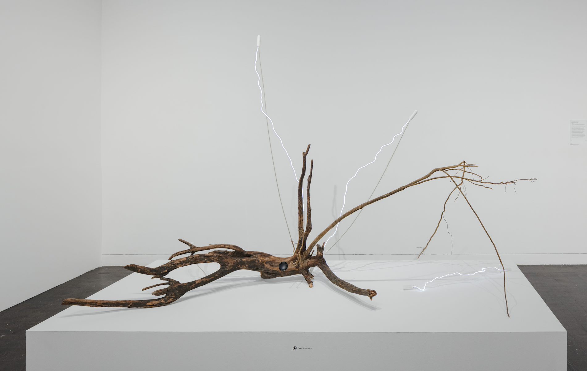 Artwork Image 1